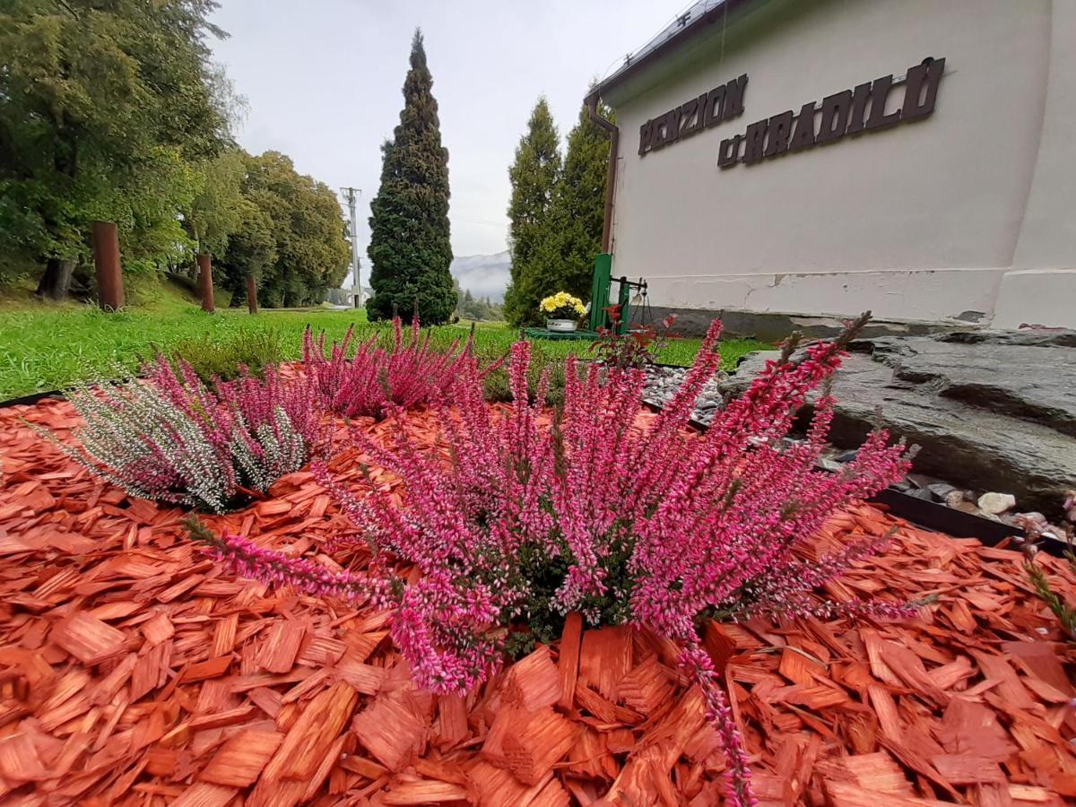 Penzion U Hradilu Vrbno pod Pradědem Exterior foto