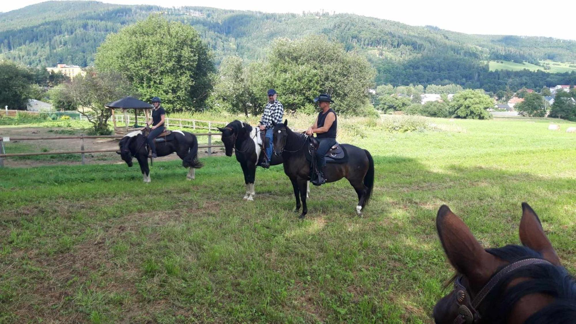 Penzion U Hradilu Vrbno pod Pradědem Exterior foto